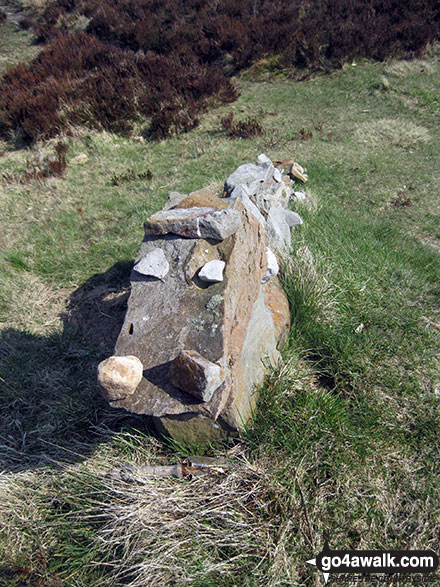 Walk s135 Revidge and Upper Elkstone from Butterton - Stone dragon sculpture on the summit of Revidge