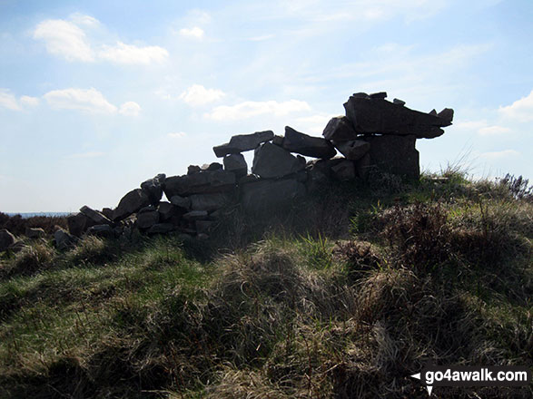 Walk s135 Revidge and Upper Elkstone from Butterton - Stone dragon sculpture on the summit of Revidge