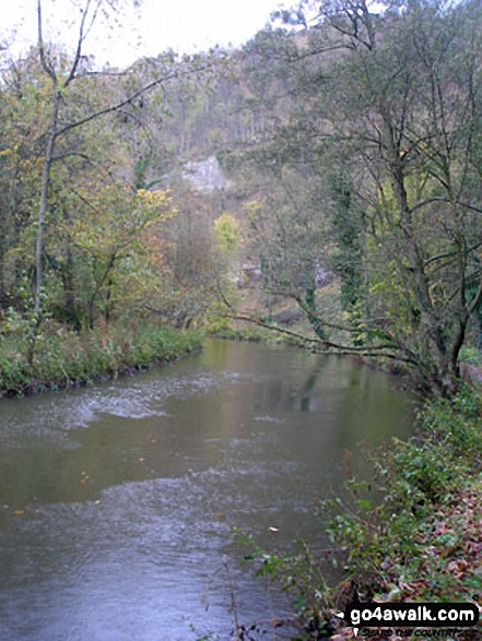 Walk d265 The Monsal Trail and Taddington from Wye Dale - The River Wye in Water-cum-Jolly Dale