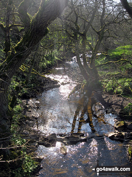 Walk s265 Old Mixon Hey from Butterton - Hoo Brook