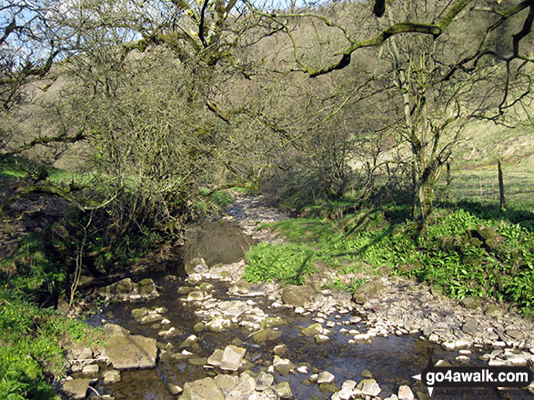 Walk s188 Weag's Bridge, The Manifold Way, Thor's Cave and Wettonmill from Grindon - Hoo Brook near Butterton