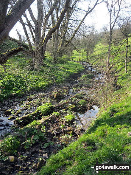 Walk s188 Weag's Bridge, The Manifold Way, Thor's Cave and Wettonmill from Grindon - Hoo Brook near Butterton