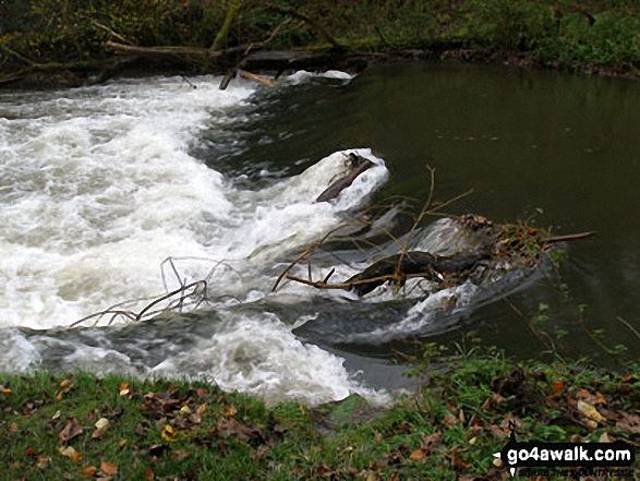 Walk d160 Upperdale, Water-cum-Jolly Dale and The Monsal Trail from Monsal Head - The River Wye in Water-cum-Jolly Dale