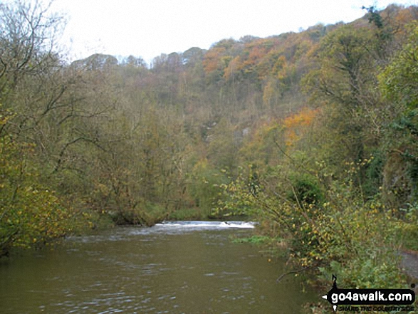 Walk d246 Miller's Dale and Water-cum-Jolly Dale from Tideswell - The River Wye in Water-cum-Jolly Dale