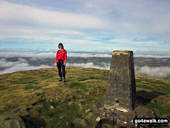 Walk sh101 Brown Clee Hill from Cleobury North - Ann on the top of Brown Clee Hill