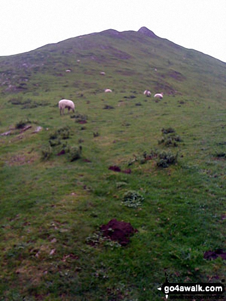 Walk s111 Dove Dale, Ilam, Castern Hall and Stanshope from Milldale - Climbing Thorpe Cloud