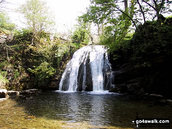 Walk ny159 Gordale Scar and Malham Cove from Malham - Janet's Foss, Malham