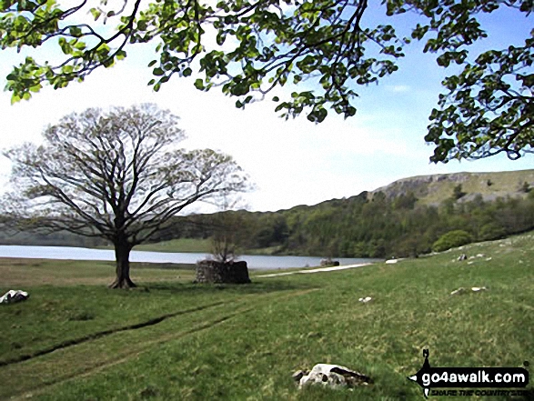 Walk ny159 Gordale Scar and Malham Cove from Malham - Malham Tarn