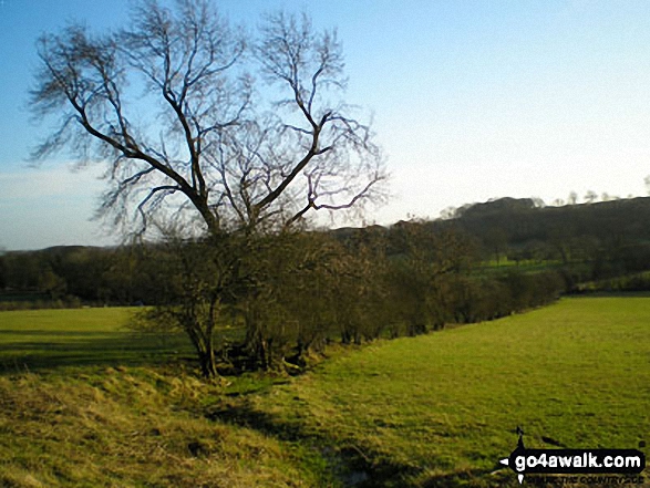 On Arbury Hill,