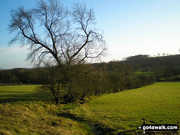 Walk no100 Arbury Hill from Badby - On Arbury Hill, 