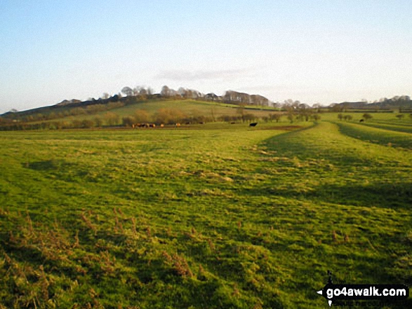 The Northamptonshire Countryside near Arbury Hill,