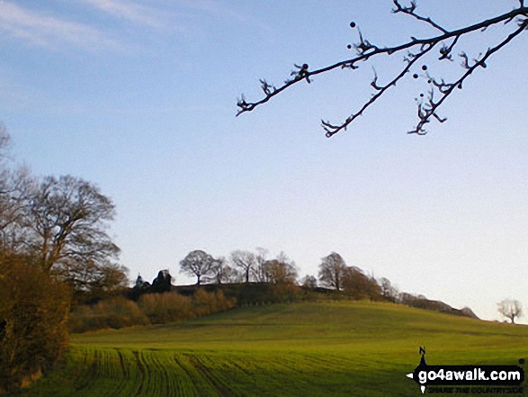 Walk no100 Arbury Hill from Badby - Arbury Hill from near Staverton Lodge,