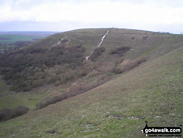 Walk bd100 Dunstable Downs and Totternhoe from Dunstable Downs Visitors Centre - Five Knolls, Dunstable Downs, 