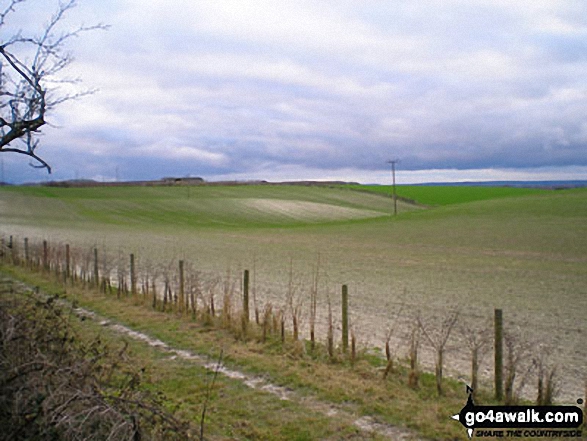 Walk bd100 Dunstable Downs and Totternhoe from Dunstable Downs Visitors Centre - Fields near Well Head, Dunstable Downs, 