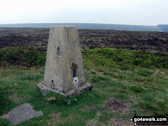 Walk po103 Bache Hill, Black Mixen and Great Rhos from New Radnor - Black Mixen summit trig point, Radnor Forest