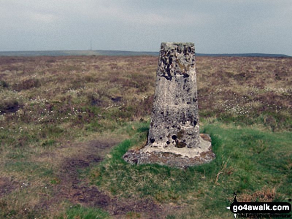 The summit of Great Rhos,  the highest point in Mynyddoedd Cambria (The Cambrian Mountains) Photo: Bryn Owens