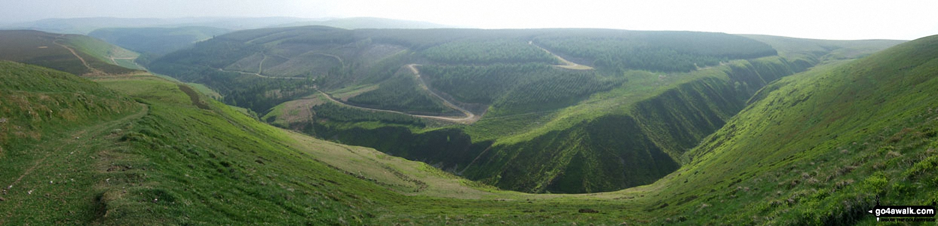 Walk po103 Bache Hill, Black Mixen and Great Rhos from New Radnor - Nyth-grug, Warren Plantation, Davy Morgan's Dingle and the Black Brook valley from the Three Riggles, Radnor Forest