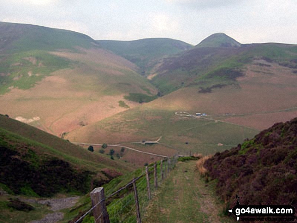 Black Mixen (left), Bache Hill (centre) and Whimble (centre right) from the track below Three Riggles and above the Harley Dingle/New Radnor Firing Range, Radnor Forest