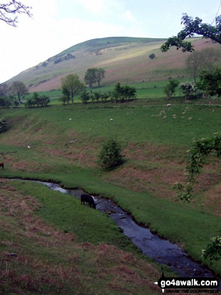 Walk po103 Bache Hill, Black Mixen and Great Rhos from New Radnor - Great Creigiau from Harley Dingle Brook, Lower Harley, Radnor Forest