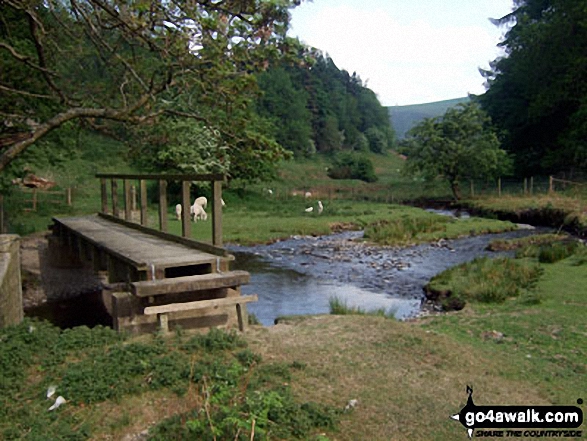 Walk po103 Bache Hill, Black Mixen and Great Rhos from New Radnor - The footbridge over Harley Dingle Brook, Lower Harley, Radnor Forest