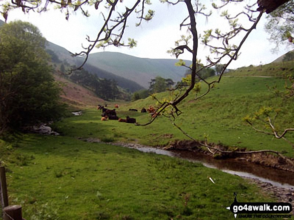 Walk po103 Bache Hill, Black Mixen and Great Rhos from New Radnor - Great Rhos from Harley Dingle Brook, Lower Harley, Radnor Forest