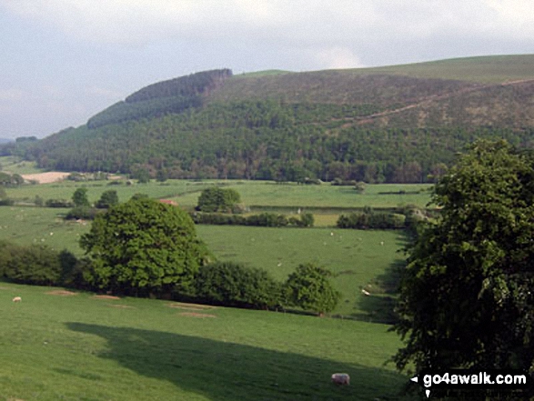 Walk po103 Bache Hill, Black Mixen and Great Rhos from New Radnor - The Smatcher from Harley Gorse, New Radnor, Radnor Forest