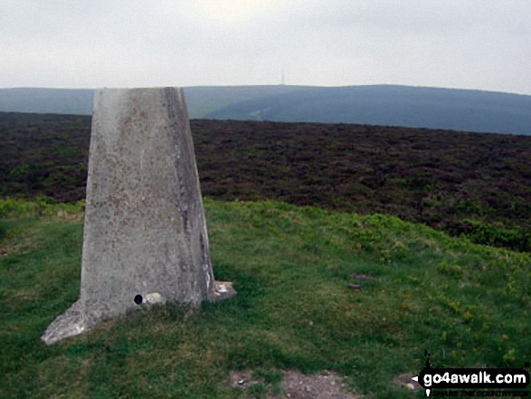 Walk po103 Bache Hill, Black Mixen and Great Rhos from New Radnor - Bache Hill summit trig point with Black Mixen on the horizon, Radnor Forest