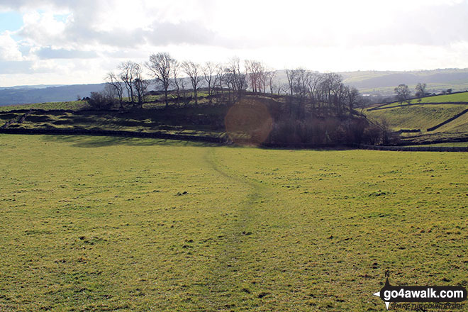 Walk d335 Longstone Edge from Great Longstone - Coppice from the bottom of Longstone Edge