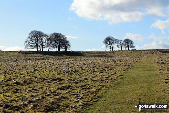 Walk d305 Stoney Middleton, Coombs Dale, Longston Moor, Wardlow Hay Cop and Foolow from Eyam - Longstone Moor