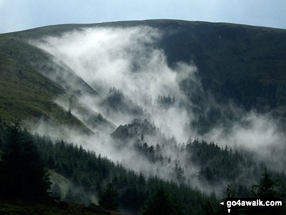 Temperature inversion on Tarrenhendre seen from Mynydd Rhyd-galed Before taking this shot there was torrential rain (and I mean torrential) for about half an hour. I got soaked!