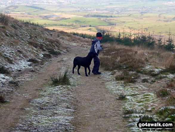 Walk c267 Haycock, Iron Crag, Lank Rigg and Grike from Ennerdale Water - My youngest son and youngest dog on their way up Grike near Ennerdale Water