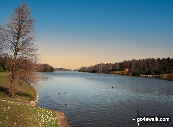 Walk nt100 A circuit of Clumber Lake - Clumber Lake