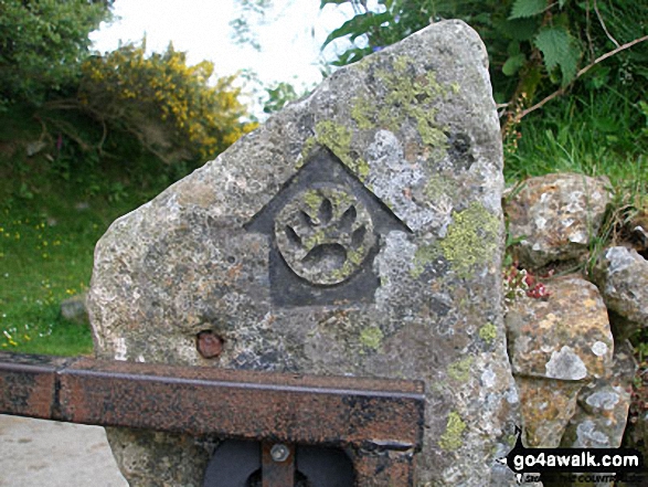 Walk de152 Belstone Tor from Belstone - Waymarker for The Tarka Trail on a gate post South of Belstone