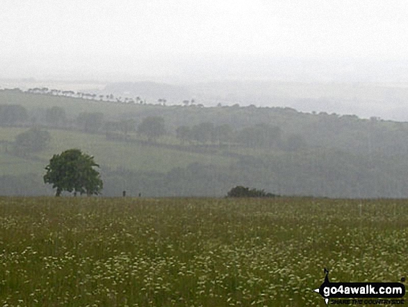 Walk de117 Steeperton Tor from Belstone - The Dartmoor countryside South of Belstone