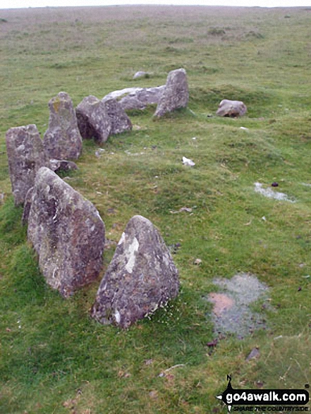 Walk de117 Steeperton Tor from Belstone - Nine Stones Stone Circle