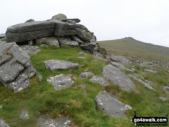 Walk de117 Steeperton Tor from Belstone - Belstone Tor from Belstone Common