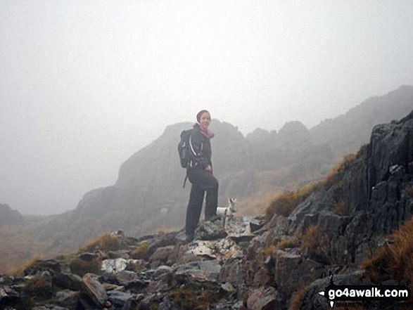 Walk gw126 Snowdon via The Llanberis Path - It's a bit foggy but here is a photo of me and our little hiking Jack Russell at the top of Snowdon :)