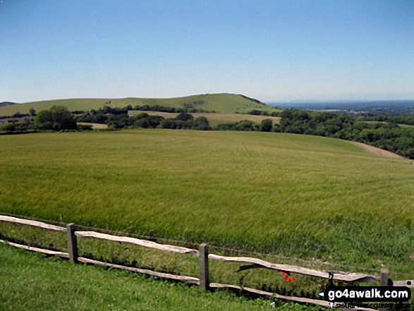 Walk ws100 Ditchling Beacon and Wolstonbury Hill from Clayton - Wolstonbury Hill from The Jack and Jill Windmills above Clayton