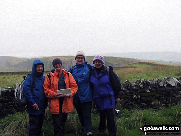 Walk n142 Hadrian's Wall from Cawfield Quarry to Steel Rigg - On Hadrians Wall - with Australian friends, appreciating an English summer!