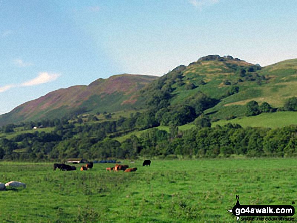 Fellbarrow and Low Fell (right) across the Vale of Lorton 