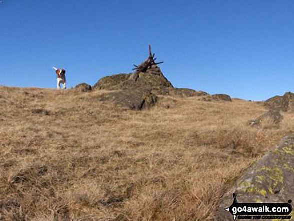 Walk Steel Fell (Dead Pike) walking UK Mountains in The Central Fells The Lake District National Park Cumbria, England