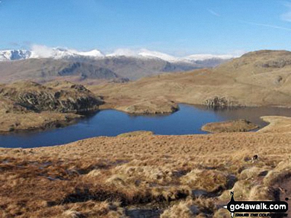 Walk c159 The Nab and Rest Dodd from Christy Bridge - Angle Tarn with the Helvellyn range beyond