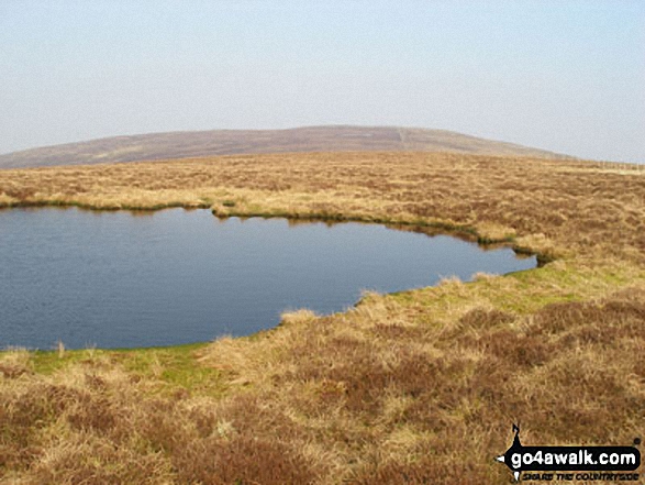 Walk n114 Grey Nag and Black Fell (Haresceugh Fell) from Gilderdale Bridge - Grey Nag from Croglin Water