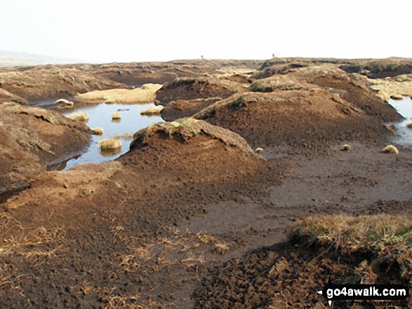 Boggy ground on Haresceugh Fell 