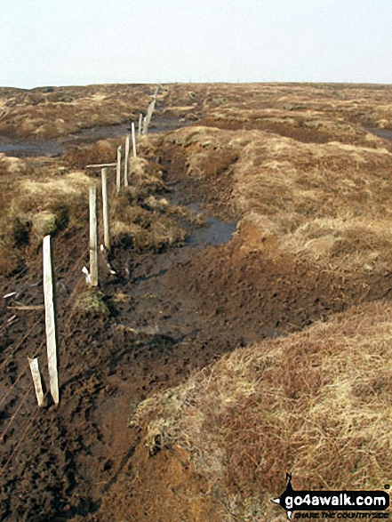 Walk c337 Black Fell (Haresceugh Fell) and Benty Hill from Hartside Top Cafe - Boggy ground on Haresceugh Fell