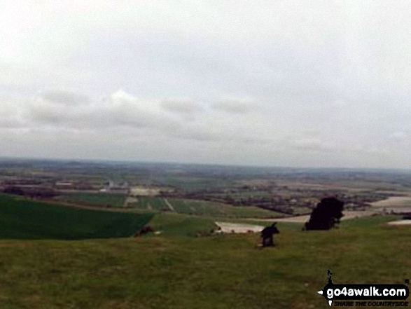 Walk bu141 Beacon Hill from Dagnall - The view from Ivinghoe Beacon