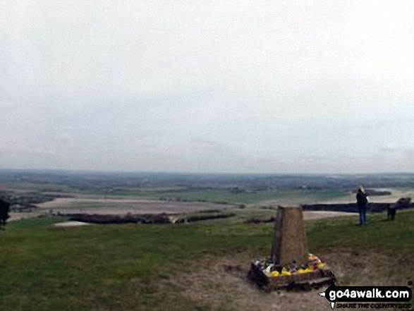 Walk bu141 Beacon Hill from Dagnall - Ivinghoe Beacon summit trig point