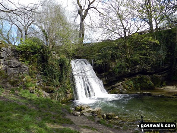 Walk ny159 Gordale Scar and Malham Cove from Malham - Janet's Foss