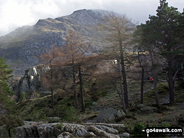 Walk cw202 Pen yr Ole Wen via the South Western Ridge from Ogwen Cottage, Llyn Ogwen - Bristly Ridge and Glyder Fach from Llyn Ogwen