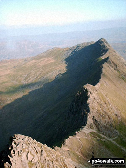 Walk c432 Helvellyn from Thirlmere - Superb view of Striding Edge from Helvellyn